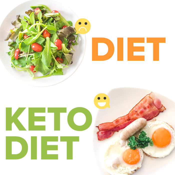 keto diet plan healthvipclub.com article - Beginner’s Guide To The Keto Diet And A Customized Keto Plan