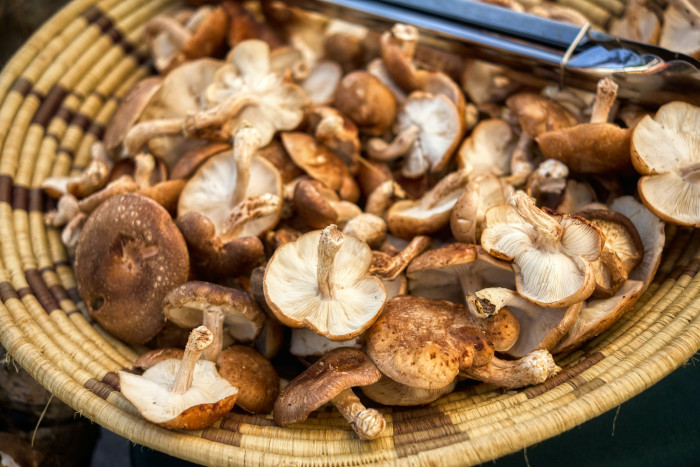 what mushrooms can you eat when pregnant health vip cub article - Are Mushrooms Safe To Eat During Pregnancy
